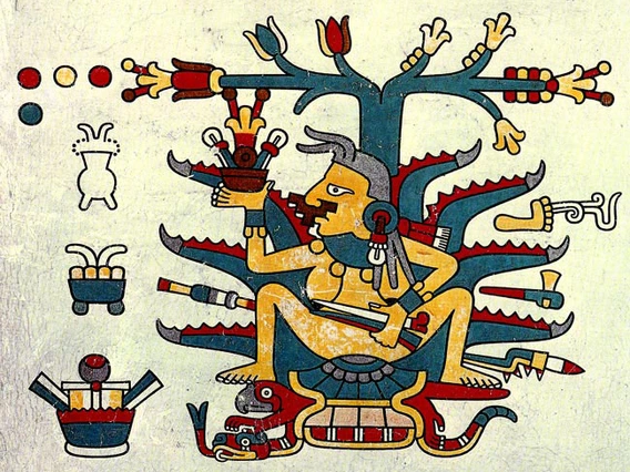 How a beloved plant and its spirit foster culture, character, and identity in Mexico and beyond.