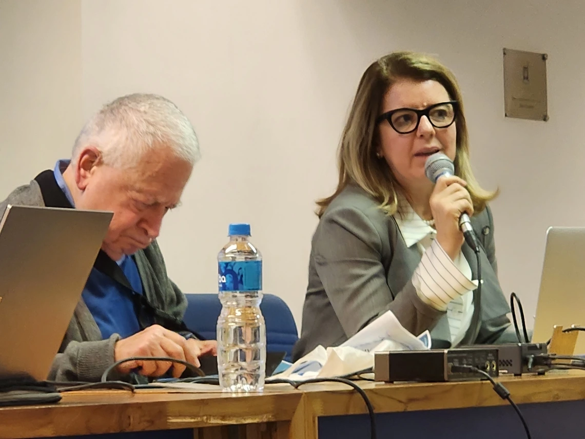 International Seminar at Brazil's National Institute of Science and Technology for Studies on the United States (INCT-INEU)
