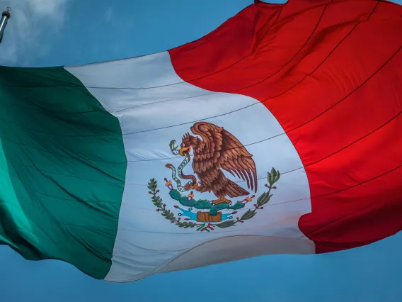 Mexican Flag