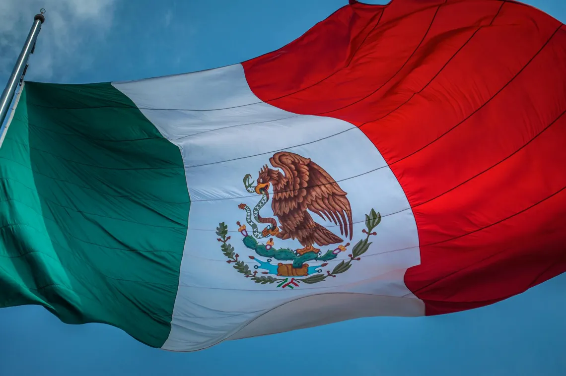 Mexican Flag